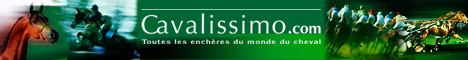 http://www.cavalissimo.com/