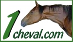 ekineo.fr est référencé auprès de 1cheval.com 