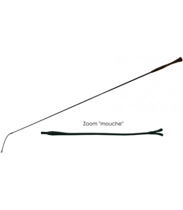 Stick de dressage en carbone